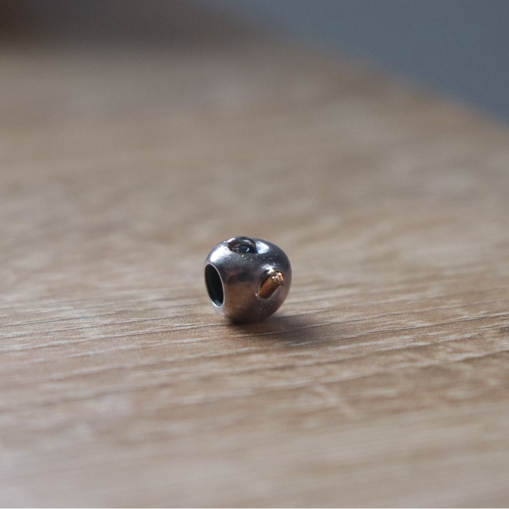 Pandora Apple with Worm Charm